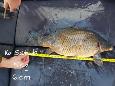 IMG-20171216-sc16 (2)