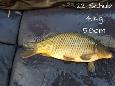 IMG-20171216-sc22
