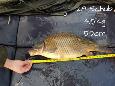 IMG-20171216-sc28 (2)