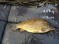 IMG-20171216-sc28