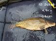 IMG-20171216-sc32