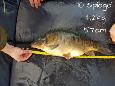IMG-20171216-sp10