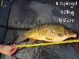 IMG-20171216-sp11
