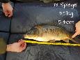 IMG-20171216-sp13