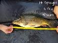 IMG-20171216-sp14 (2)