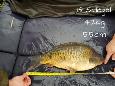 IMG-20171216-sp19 (2)
