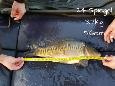 IMG-20171216-sp24 (2)