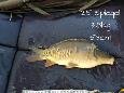 IMG-20171216-sp25