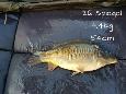 IMG-20171216-sp26