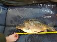 IMG-20171216-sp27 (2)