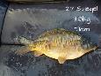 IMG-20171216-sp27
