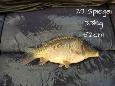 IMG-20171216-sp29 (2)