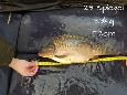 IMG-20171216-sp29