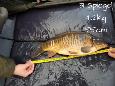 IMG-20171216-sp31 (2)