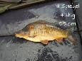 IMG-20171216-sp31