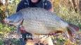 20181711schub1-11 (2)